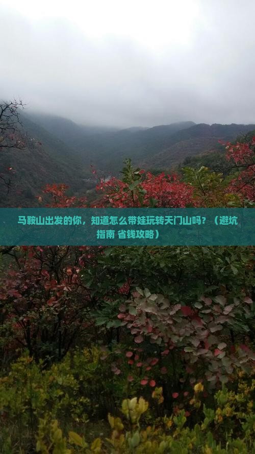 马鞍山去张家界天门山大型旅游团