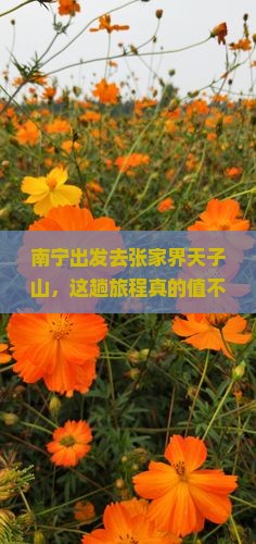 南宁到张家界天子山旅游