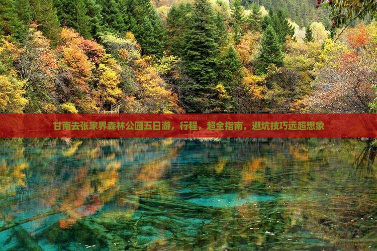 甘南去张家界森林公园五日游