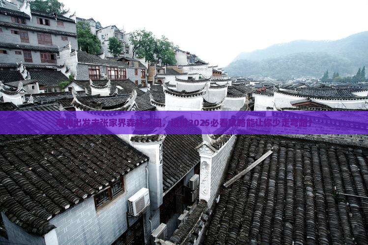亳州去张家界森林公园自由行