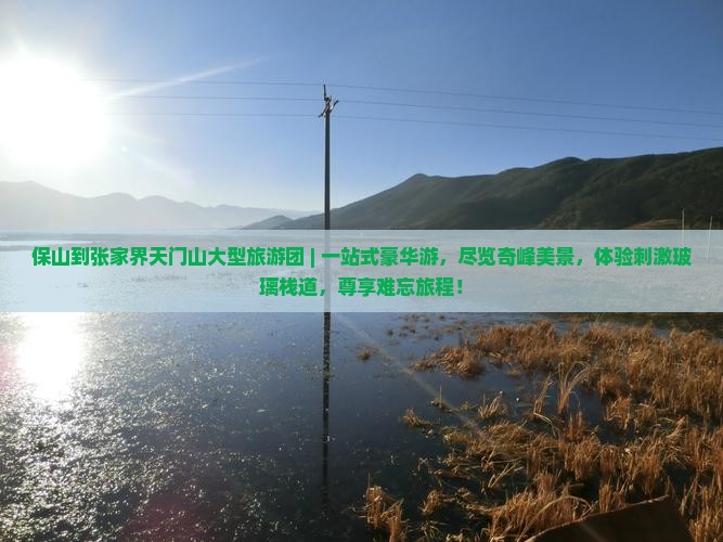 保山到张家界天门山大型旅游团