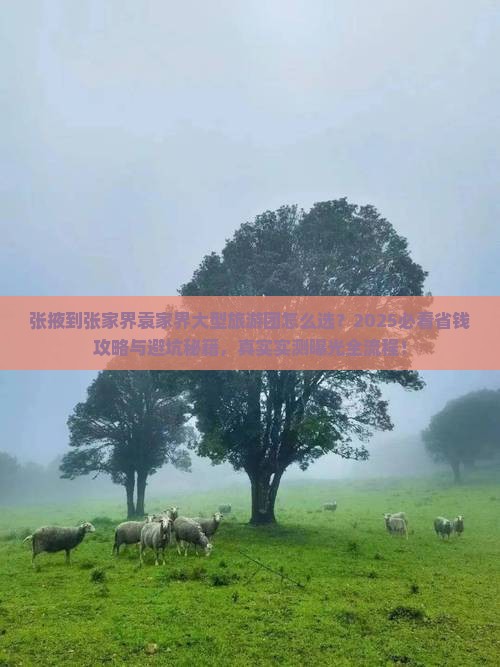 张掖到张家界袁家界大型旅游团