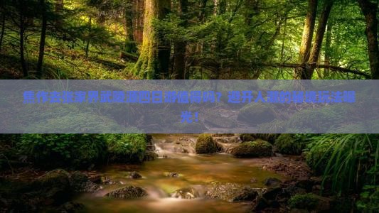 焦作去张家界武陵源四日游