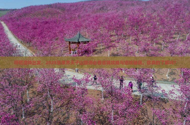 呼和浩特到张家界天子山旅游