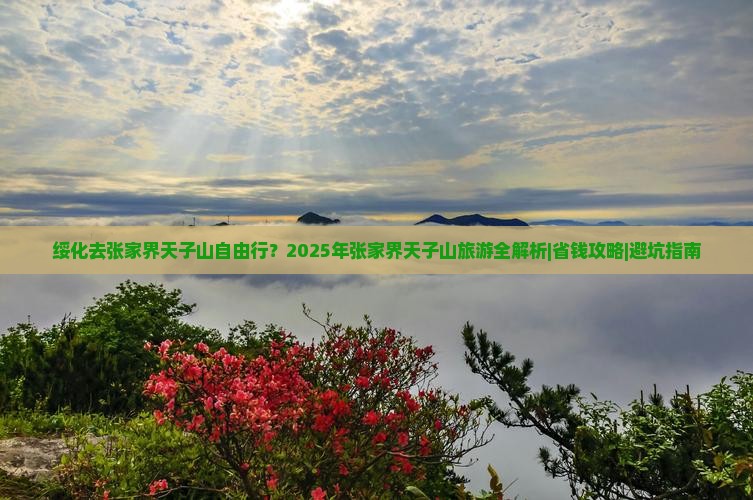 绥化去张家界天子山自由行