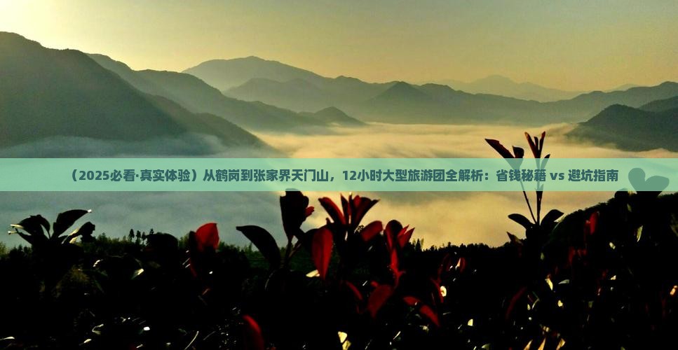 鹤岗去张家界天门山大型旅游团