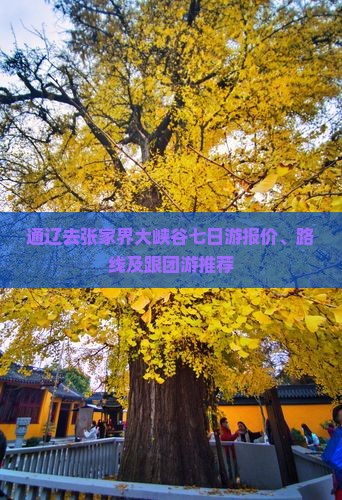 通辽去张家界大峡谷七日游