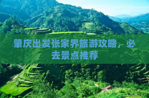 肇庆去张家界景点