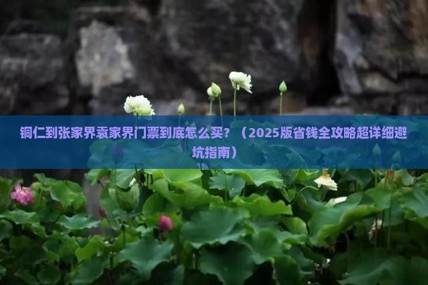 铜仁去张家界袁家界门票