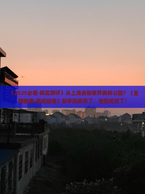 上海去张家界森林公园哪里玩