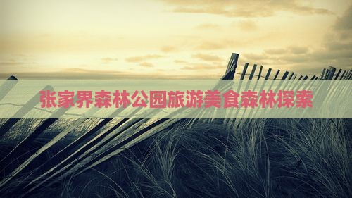 伊春去张家界森林公园旅游小吃