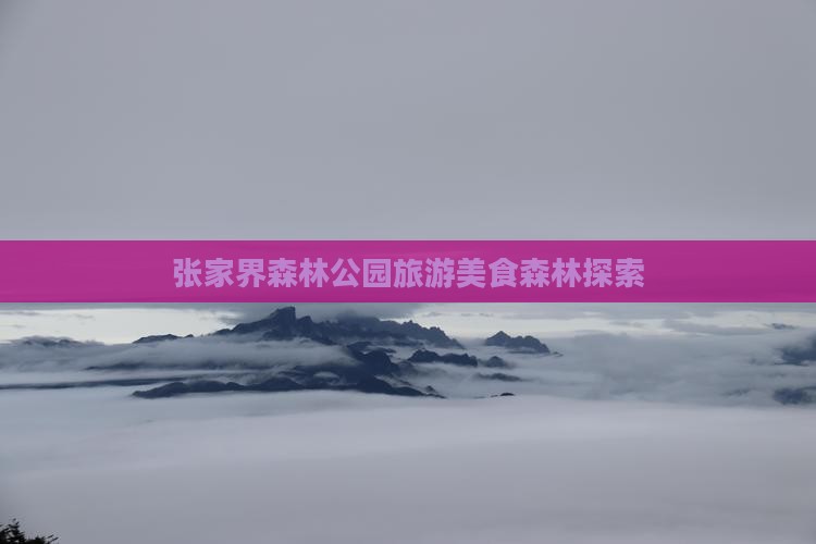 伊春去张家界森林公园旅游小吃