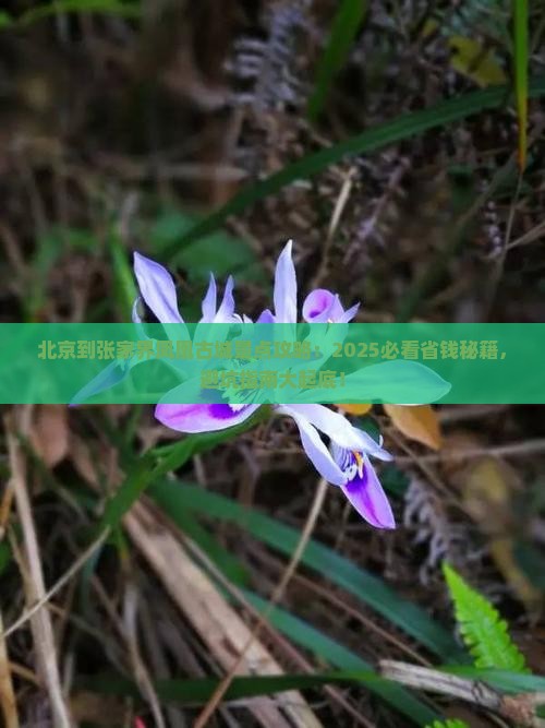 北京到张家界凤凰古城景点
