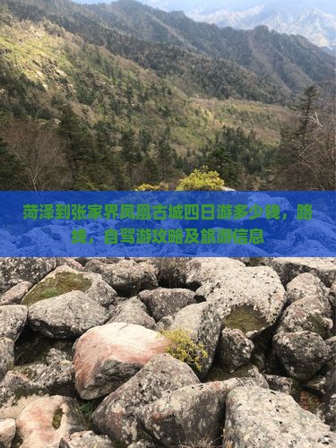 菏泽到张家界凤凰古城四日游