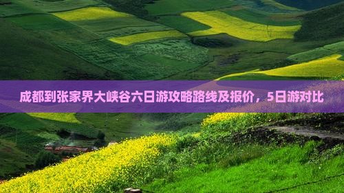 成都到张家界大峡谷六日游
