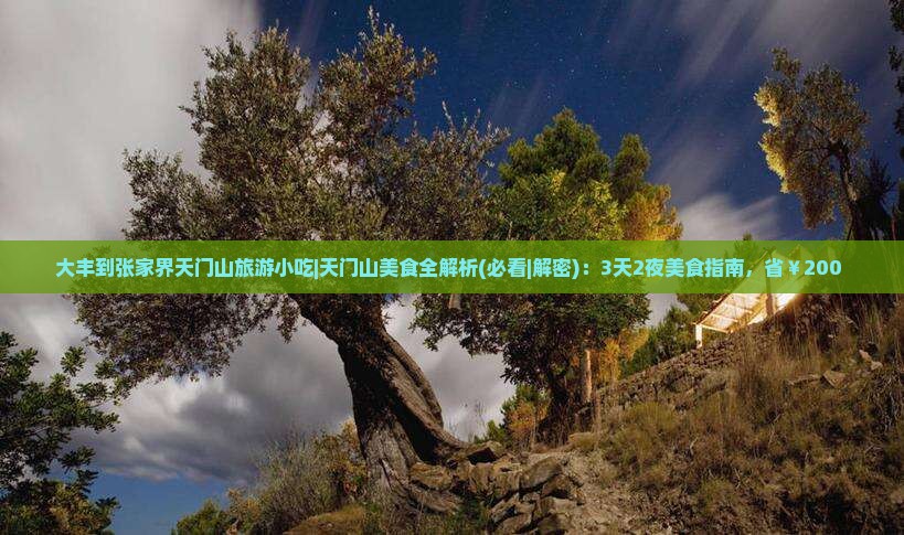 大丰到张家界天门山旅游小吃