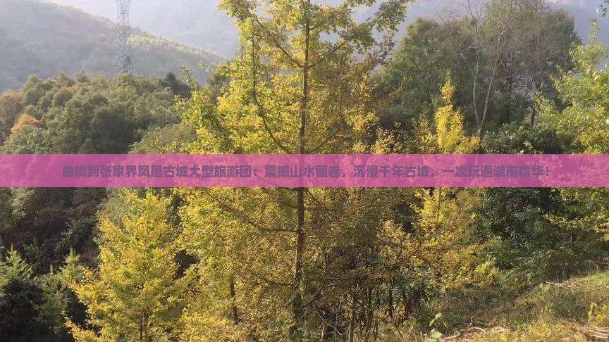 曲靖到张家界凤凰古城大型旅游团