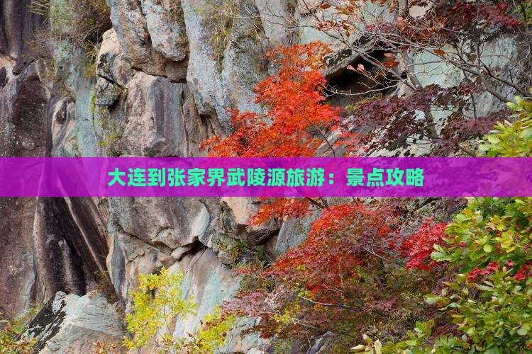 大连到张家界武陵源旅游