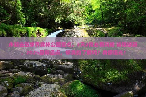 永新去张家界森林公园景点