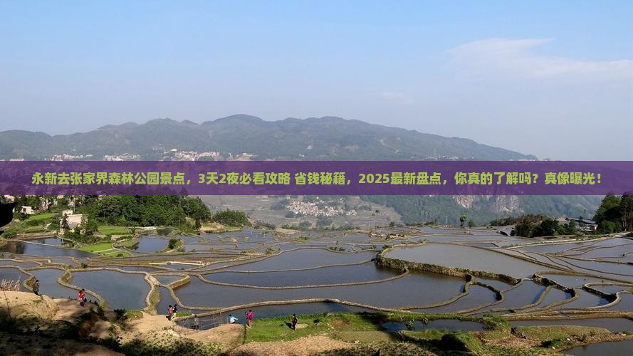 永新去张家界森林公园景点
