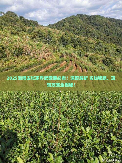 淄博去张家界武陵源必去地