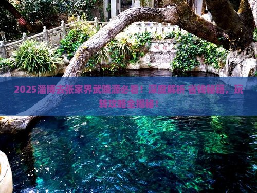 淄博去张家界武陵源必去地