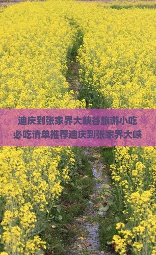 迪庆到张家界大峡谷旅游小吃
