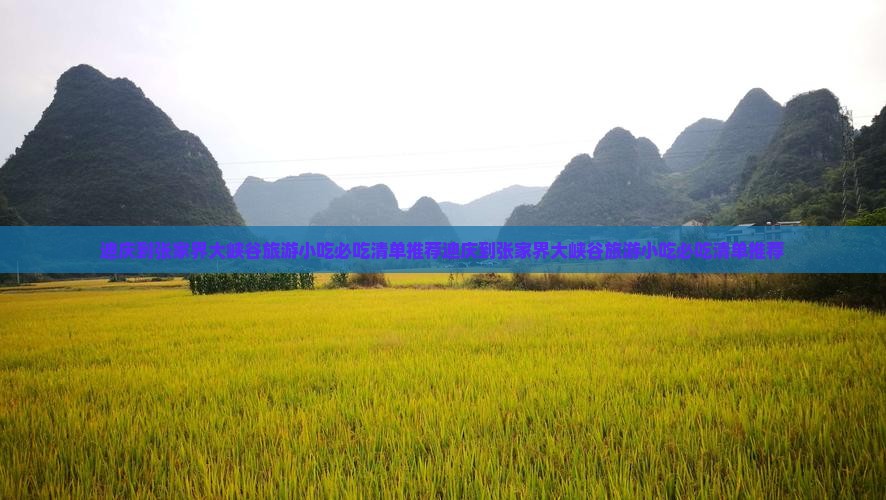 迪庆到张家界大峡谷旅游小吃
