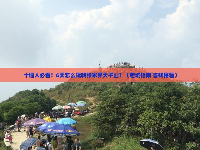 十堰去张家界天子山六日游