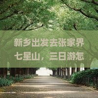 新乡到张家界七星山三日游