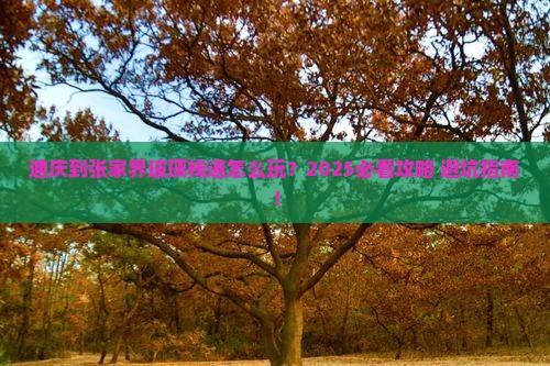 迪庆到张家界玻璃栈道哪里玩