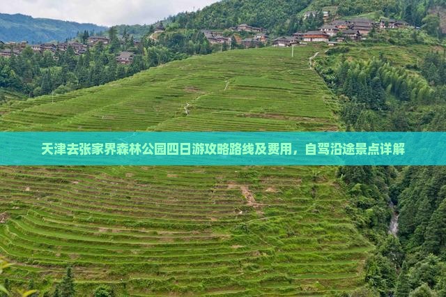 天津去张家界森林公园四日游