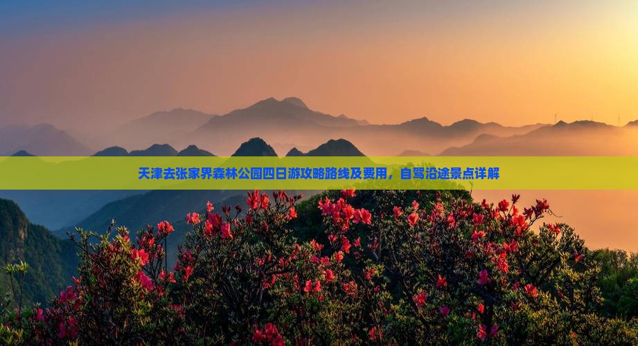 天津去张家界森林公园四日游
