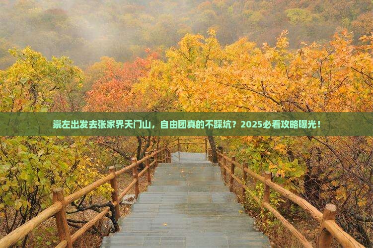 崇左去张家界天门山自由团