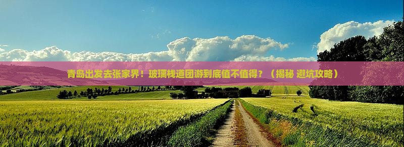 青岛到张家界玻璃栈道团体旅游
