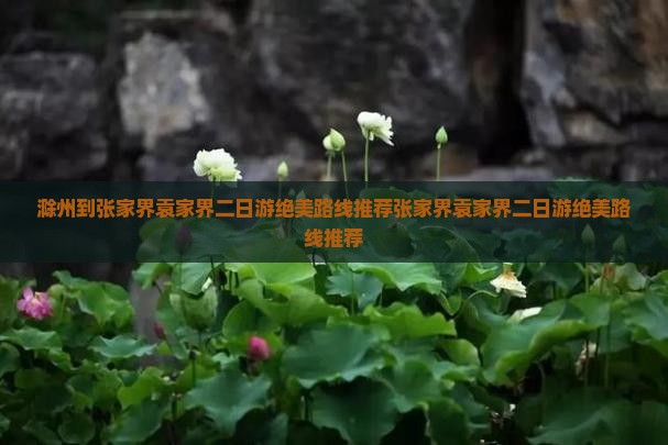 滁州到张家界袁家界二日游