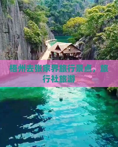 梧州去张家界袁家界旅行社