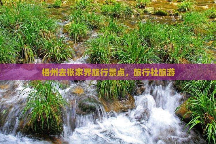 梧州去张家界袁家界旅行社