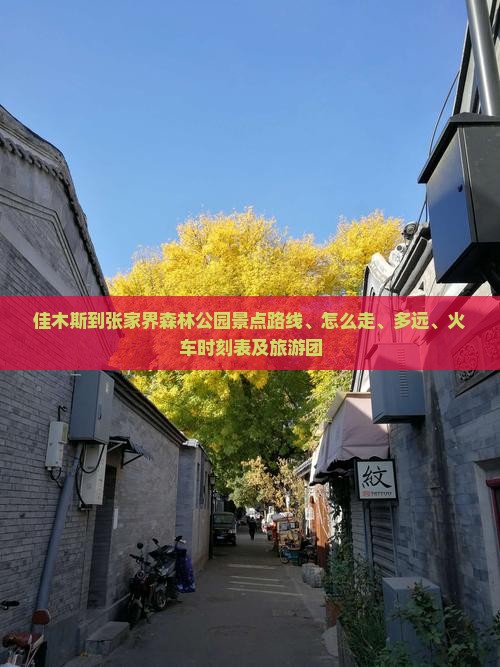 佳木斯到张家界森林公园景点
