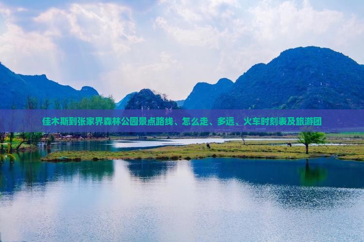 佳木斯到张家界森林公园景点