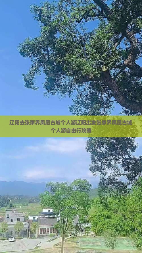 辽阳去张家界凤凰古城个人游