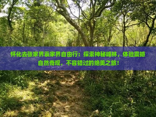 怀化去张家界袁家界自由行