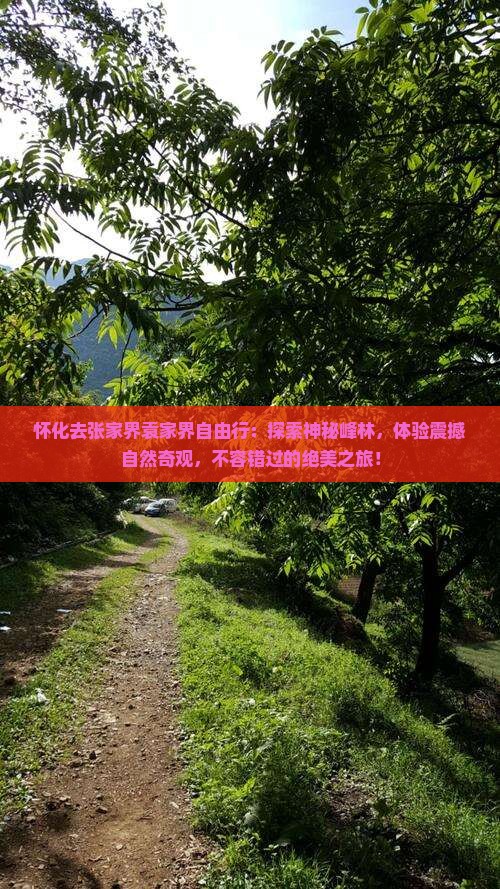 怀化去张家界袁家界自由行