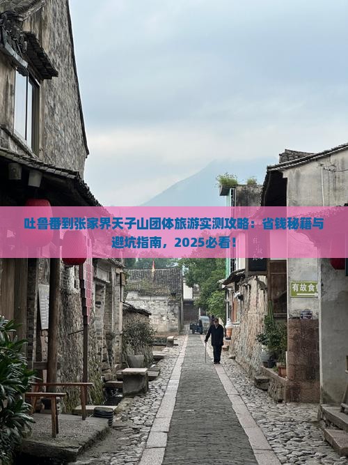 吐鲁番到张家界天子山团体旅游