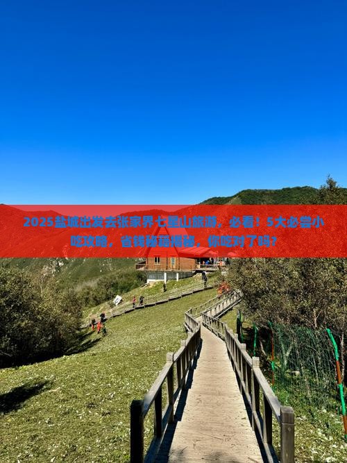 盐城到张家界七星山旅游小吃