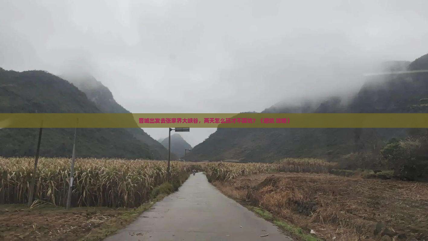 晋城到张家界大峡谷二日游