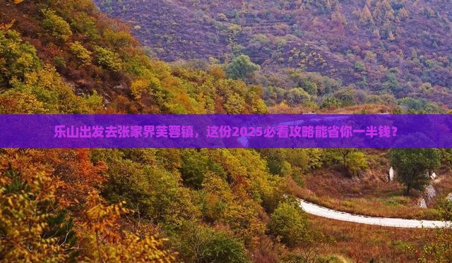 乐山去张家界芙蓉镇个人游