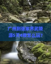 广州到张家界武陵源大型旅游团