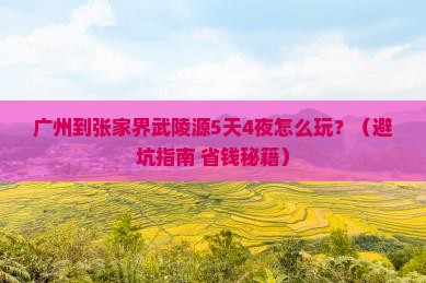 广州到张家界武陵源大型旅游团