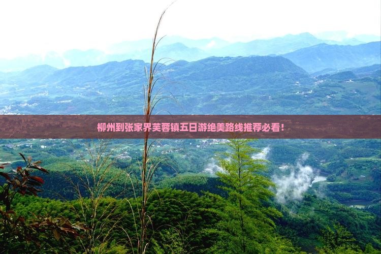 柳州到张家界芙蓉镇五日游